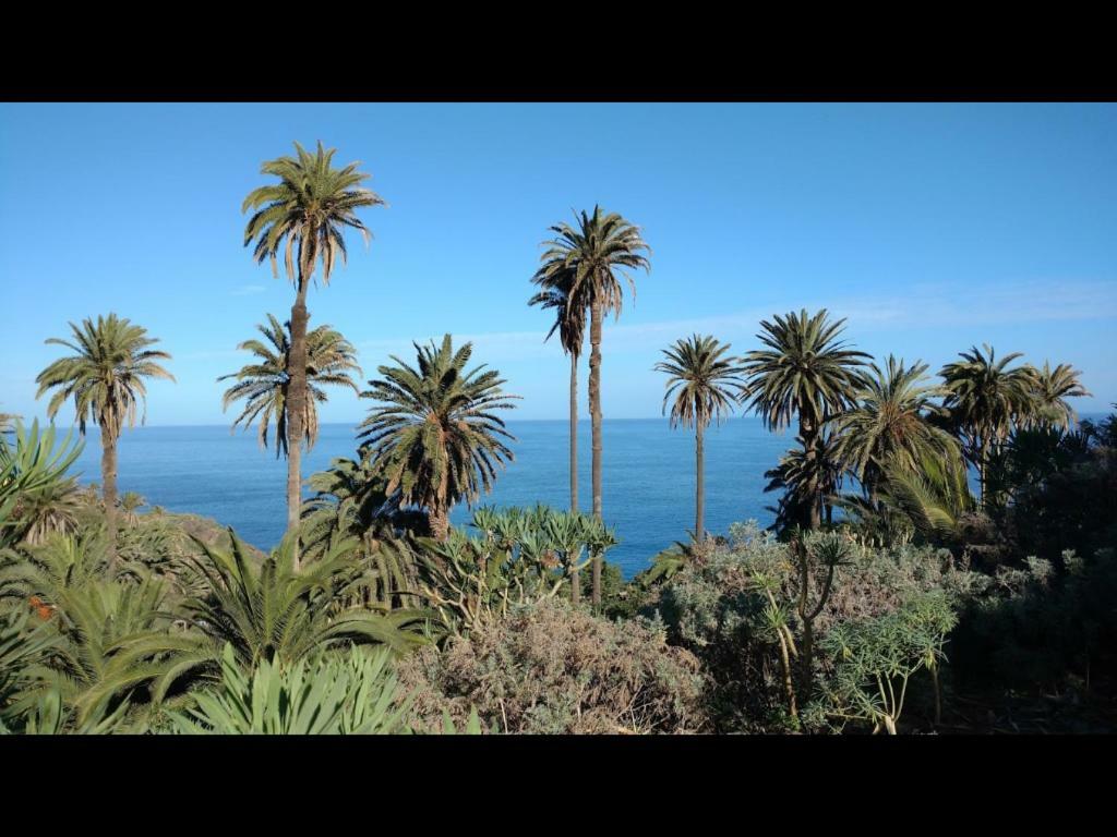 Villa In Protected Space In Front Of The Sea Los Realejos Luaran gambar